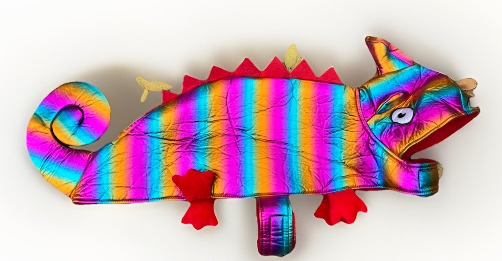 Large Dog/ Puppy Rainbow Lizard / Chameleon Halloween Costume 24-27 Inch